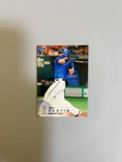 オーナーズリーグ ターメル・スレッジ 横浜ベイスターズ - メルカリ