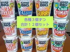 日清カップヌードルBIG　具増量　１２個セット