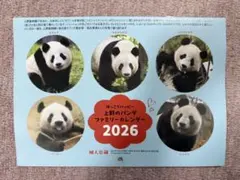 Item thumbnail for item cc216415-6337-4aff-aef6-778e1fc963e8