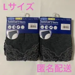 サニタリーショーツ 多い日・夜用　Lサイズ ダークグレー 2枚セット