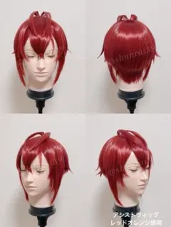 ウィッグオーダー サンプル ツイステッド・ワンダーランド リドル・ローズハート