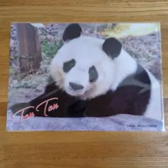 JARI様 リクエスト 2点 まとめ商品