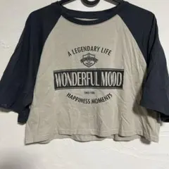 Dazy Mサイズ ラグランスリーブTシャツ