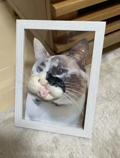 たつぶー様 リクエスト 2点 まとめ商品