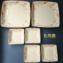 たち吉　食器セット　大皿2枚　 小皿4枚　陶器