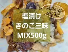 【天然】塩漬けきのこ三昧・MIX500g＊能登産のサムネイル