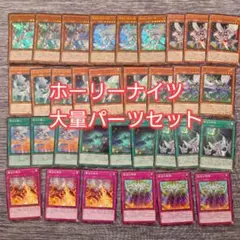 パ6980　遊戯王　ホーリーナイツ　デッキ　パーツのサムネイル