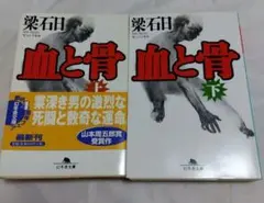 Item thumbnail for item de73fb7b-a008-4159-876e-ceb31fae80ec