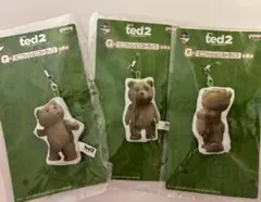ted2