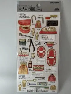 ★即日発送★ 大人の図鑑シール 歯編