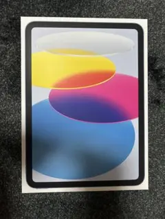 Apple iPad （A16）（第11世代）Wi-Fiモデル