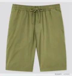 Item thumbnail for item b5a4a714-3e31-47b0-bcc0-055440a5784f