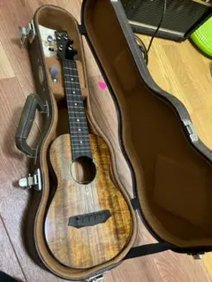 Item thumbnail for item 6a813e09-b2d2-4a5f-ab65-a147f7ee6ae6