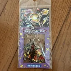 【未開封新品】ポケモン メタルキーホルダー グラードン カイオーガ レックウザ ポケモン メタルキーホルダー グラードン カイオーガ レックウザ 未