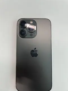 Apple iPhone 본체