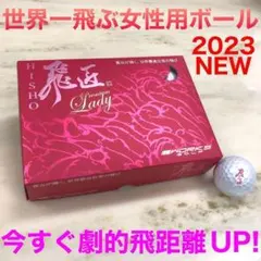 36ｙUPで世界一飛ぶ女性用 超高反発球 ワークスゴルフ 飛匠プレミアムレディのサムネイル