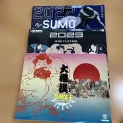 巡業パンフレット Amazon.co.jp: 令和6年夏巡業大相撲青森場所パンフレットA4版