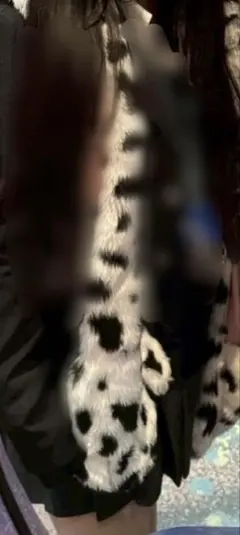 101匹わんちゃん ファンキャップ
