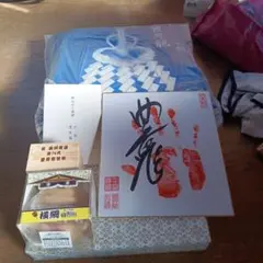 Item thumbnail for item a9d6a252-7728-435e-ae05-d9881606e512