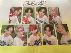 &TEAM 'Back to Life' スプサトレカ　ウィバコンプセット