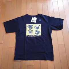 Item thumbnail for item 7884d67f-a928-4a4e-a599-4e104e79fdd6