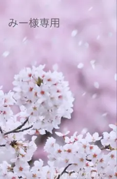 みー様専用　洒落袋帯疋田と縞