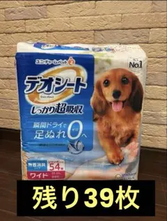 Item thumbnail for item 0fc1d1e9-8b09-48c1-bb5c-19822e41e5e6