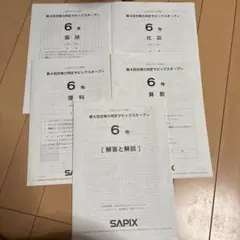 2026年最新】第4回合格力判定サピックスオープンの人気アイテム - メルカリ