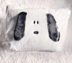 SNOOPY スヌーピー ミニトートバッグ