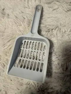 Item thumbnail for item 69752f08-e95c-4bcd-90a6-9b2ca5995b47