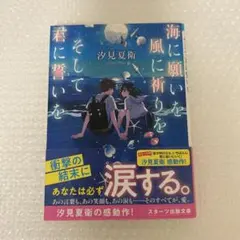 海に願いを 風に祈りを そして君に誓いを