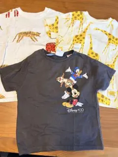 日本未発売 ライオンキング シンバ 半袖 Tシャツ80cm プライマーク 3枚