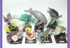 2026年最新】鳥羽 ニシキエビの人気アイテム - メルカリ