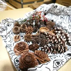 値下げ！ドライフラワー・木のみ色々セット