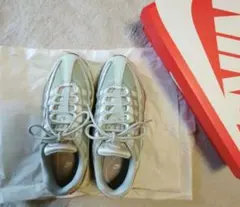 Item thumbnail for item 8c709bfa-852b-47b5-9207-e4509dffd2b2