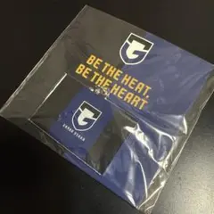 ガンバ大阪 応援グッズ