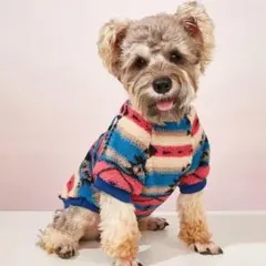 フリース犬服 小型犬用 トイプードル