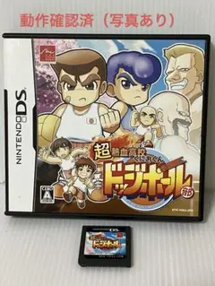 動作確認済み　箱説あり　超熱血高校くにおくん　ドッジボール部 ニンテンドーDS