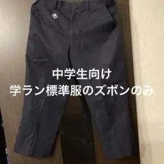 Item thumbnail for item 3e1bb762-56b3-4319-a112-c76a13ff2326