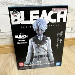 2025年最新】日番谷冬獅郎ゾンビの人気アイテム - メルカリ