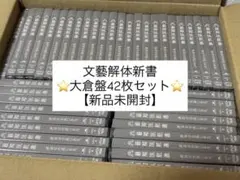 文藝解体新書 大倉空人盤 42枚セット