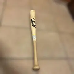 Item thumbnail for item 86580118-2773-4a75-a4c7-1c22004b3283