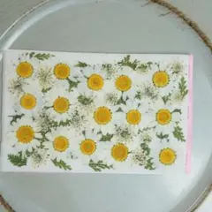 Item thumbnail for item 9d5d2b20-d0f9-4c5a-8e4b-b88738437dfe