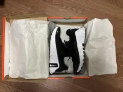 NIKE フリー メトコン 6 FJ7127-001