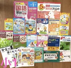これカン 完全版 2025-26 社会用語集　早稲田アカデミー 中学 詳説用語&資料集 社会/ 早稲田アカデミー監修 中学生向け用語集の