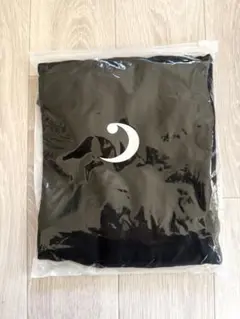 Item thumbnail for item fe9f2f3c-197c-4227-a31a-6978364315f6