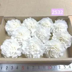 ソラフラワー　2532