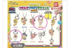 2025年最新】Han quokka SKZOOの人気アイテム - メルカリ