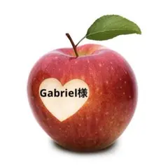 Gabriel様 リクエスト 2点 まとめ商品