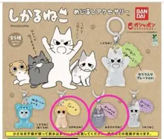 しかるねこ めじるしアクセサリー　ながめるねこ あまやかすねこ　ねこ